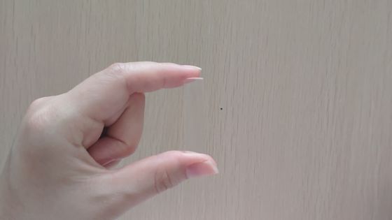 China Manufacturing Customized Plano Concave Square Cylindrical Lens 5mm*5mm